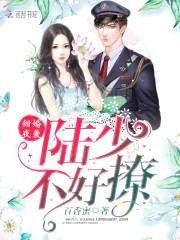 军婚夜袭:陆少,不好撩!