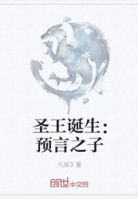圣王诞生:预言之子
