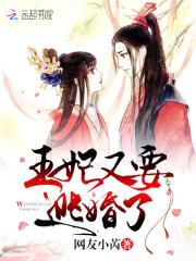 替身王妃:王爷,妾身不想嫁