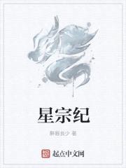 星宗纪