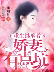 重生继承者:娇妻有点坑