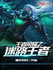 王者荣耀之迷路王者