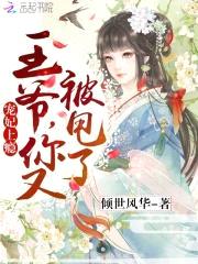 宠妃上瘾:王爷,你又被甩了