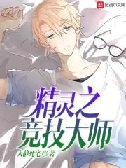精灵之竞技大师