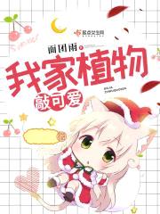 我家植物敲可爱