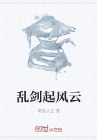 乱剑起风云