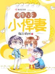 重生八零小悍妻