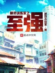 精灵训练家之至强