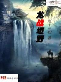 龙战垣野