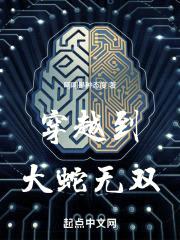 穿越到大蛇无双