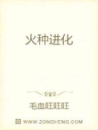 火种进化