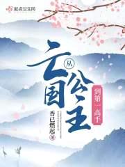 从亡国公主到第一高手
