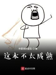 就算是异世界有虎式也没问题吧