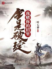 我赌你的招里全是破绽