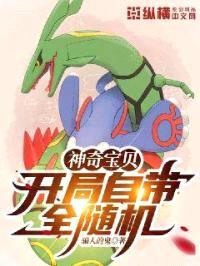 神奇宝贝：开局自带全随机