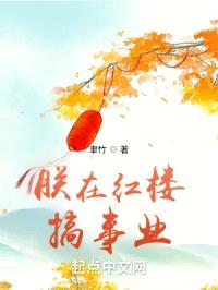 朕在红楼搞事业