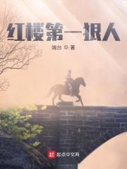 红楼第一狠人