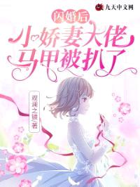 闪婚后，小娇妻大佬马甲被扒了