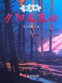 初见时夕阳无限好