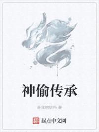 神偷传承