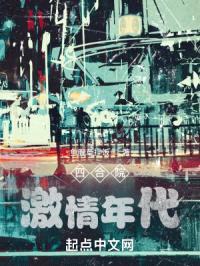 四合院:激情年代