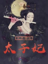 大齐特工太子妃