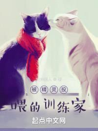 被精灵投喂的训练家