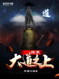 探索大道之上
