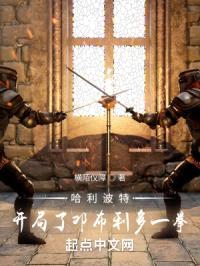 哈利波特：开局了邓布利多一拳