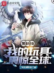 黑科技:我的玩具震惊全球