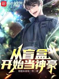 从盲盒开始当神豪