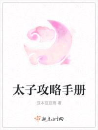 太子攻略手册