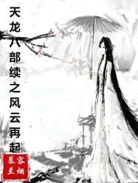 天龙八部续之风云再起