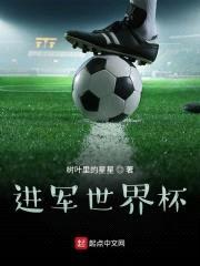 进军世界杯!