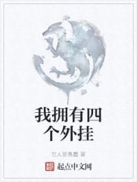 我拥有四个外挂