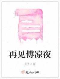 再见傅凉夜