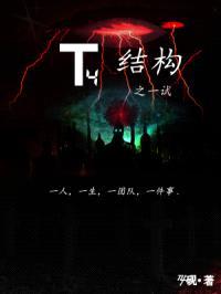 T4结构之一试
