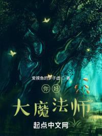 你好，大魔法师