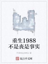 重生1988不是丧是事实