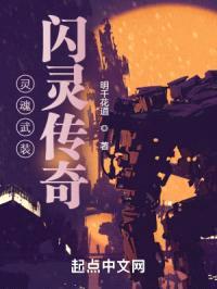 灵魂武装：闪灵传奇