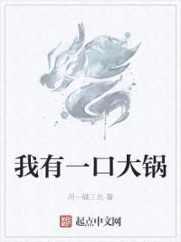 我有一口大锅