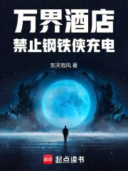 万界酒店:禁止钢铁侠充电