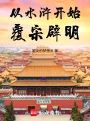 萧峰穿越水浒传，开局斗武松