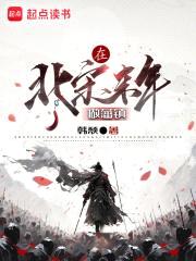 在北宋末年做藩镇