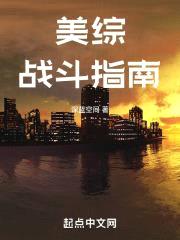 美综战斗指南